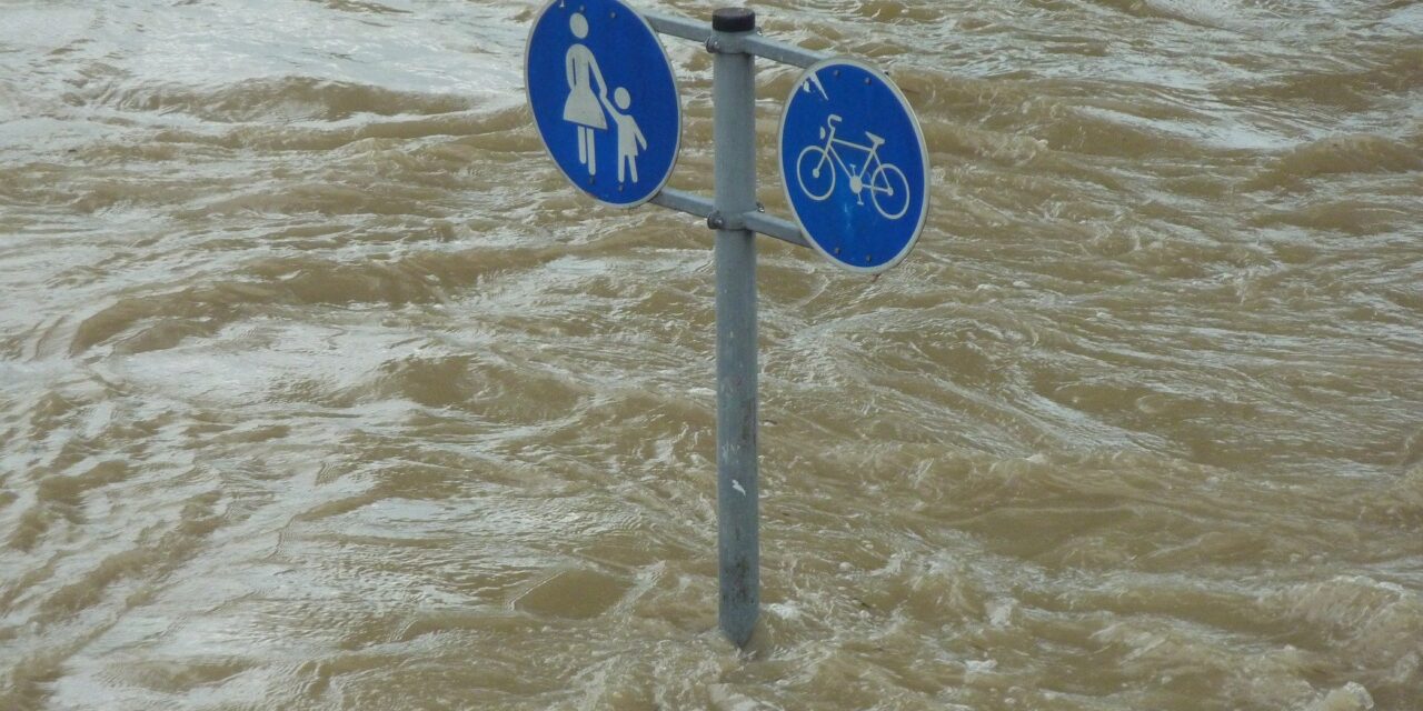 Ekel, Politik und das Hochwasser