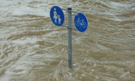 Ekel, Politik und das Hochwasser