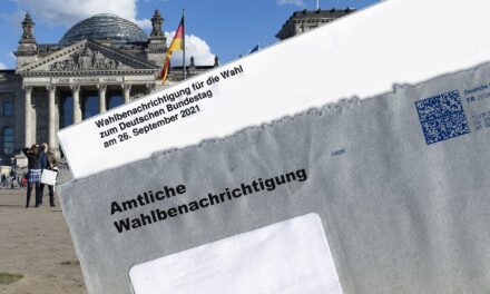 BILD und die AfD : Seriöser Journalismus?