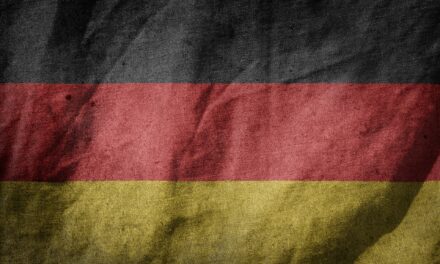 Deutschland, die AfD und Herr Professor Meuthen