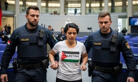 Eklat um die Linken-Politikerin Cansin Köktürk